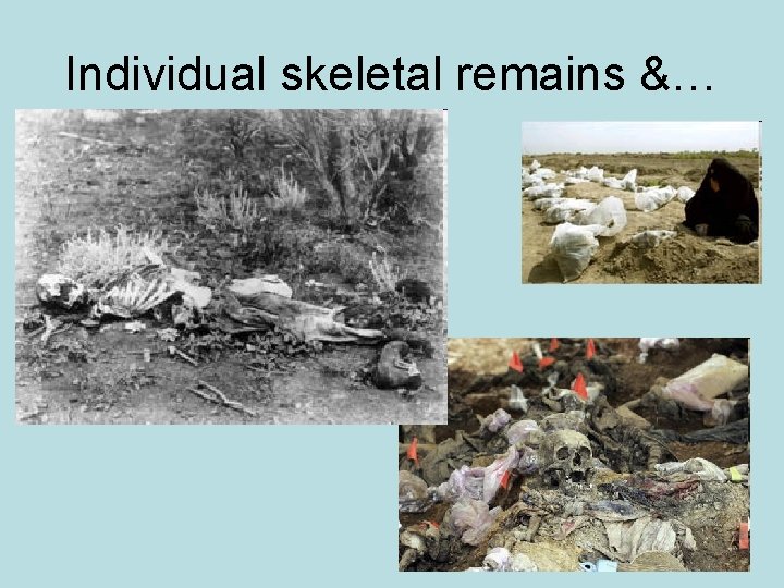 Individual skeletal remains &… 