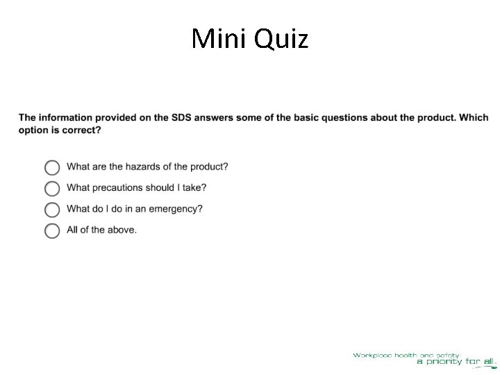 Mini Quiz 