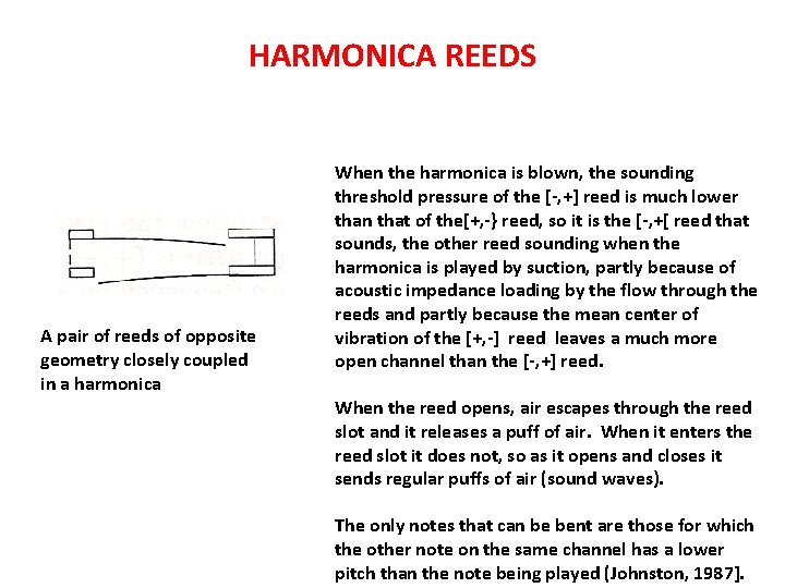 HARMONICA REEDS A pair of reeds of opposite geometry closely coupled in a harmonica HARMONICA REEDS A pair of reeds of opposite geometry closely coupled in a harmonica