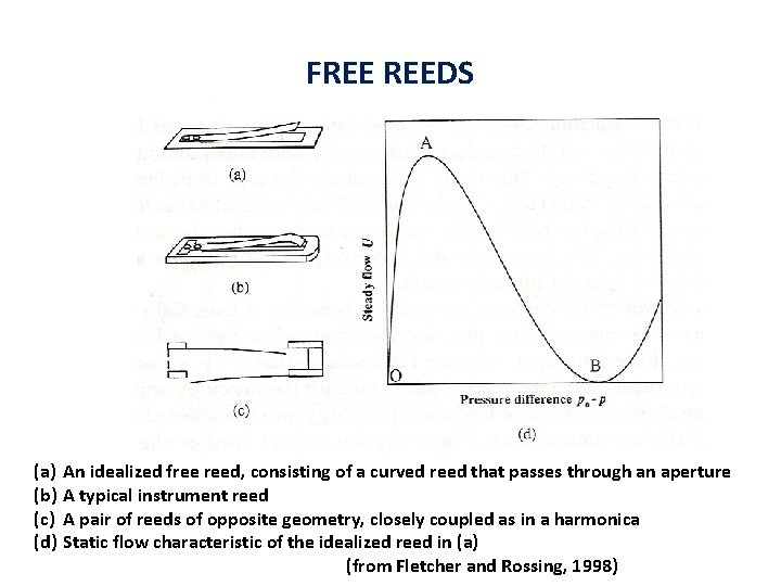 FREE REEDS (a) (b) (c) (d) An idealized free reed, consisting of a curved FREE REEDS (a) (b) (c) (d) An idealized free reed, consisting of a curved