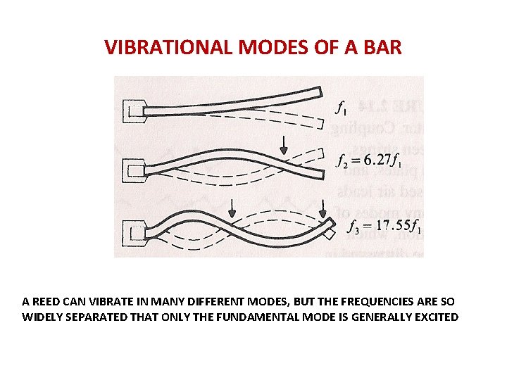 VIBRATIONAL MODES OF A BAR A REED CAN VIBRATE IN MANY DIFFERENT MODES, BUT VIBRATIONAL MODES OF A BAR A REED CAN VIBRATE IN MANY DIFFERENT MODES, BUT