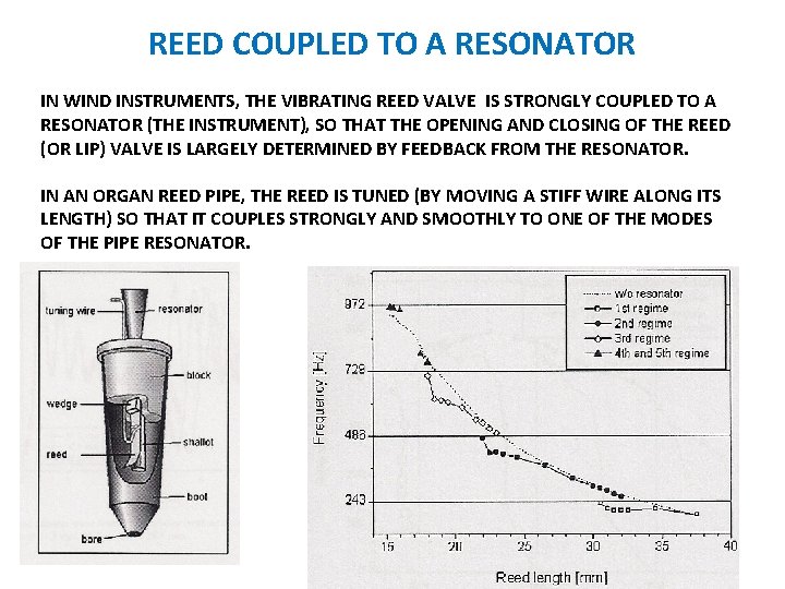 REED COUPLED TO A RESONATOR IN WIND INSTRUMENTS, THE VIBRATING REED VALVE IS STRONGLY REED COUPLED TO A RESONATOR IN WIND INSTRUMENTS, THE VIBRATING REED VALVE IS STRONGLY