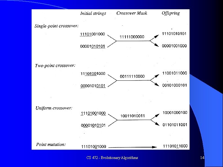 CS 472 - Evolutionary Algorithms 14 