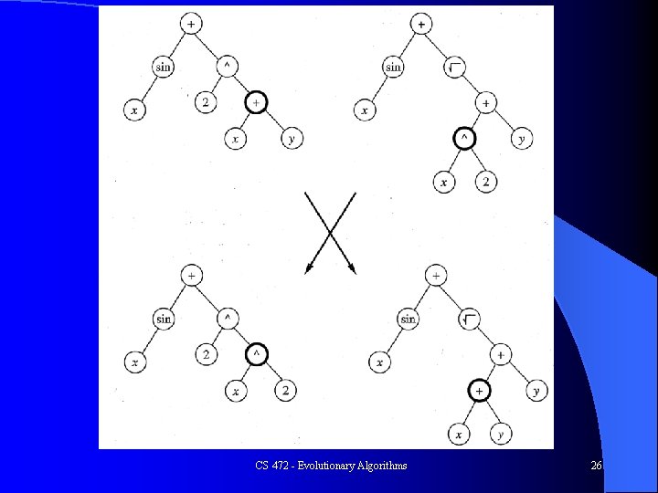 CS 472 - Evolutionary Algorithms 26 