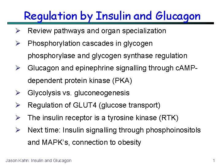 Regulation by Insulin and Glucagon Review pathways and organ specialization Phosphorylation cascades in glycogen