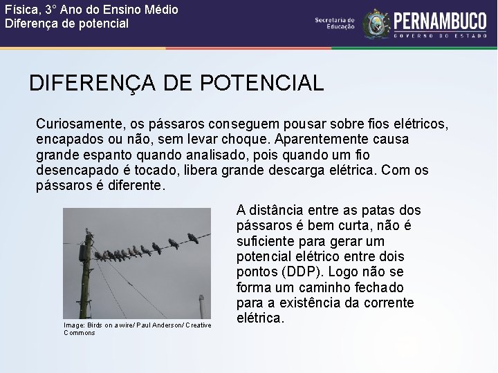Física, 3° Ano do Ensino Médio Diferença de potencial DIFERENÇA DE POTENCIAL Curiosamente, os