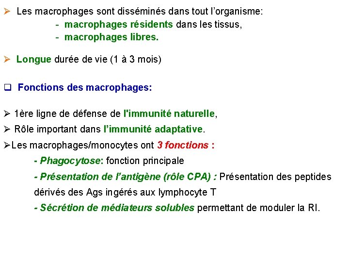 Ø Les macrophages sont disséminés dans tout l’organisme: - macrophages résidents dans les tissus,