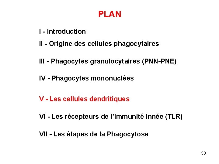 PLAN I - Introduction II - Origine des cellules phagocytaires III - Phagocytes granulocytaires