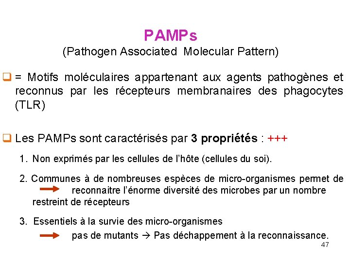 PAMPs (Pathogen Associated Molecular Pattern) q = Motifs moléculaires appartenant aux agents pathogènes et