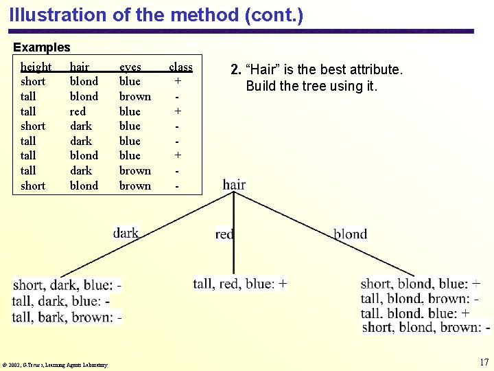 Illustration of the method (cont. ) Examples height short tall tall short hair blond