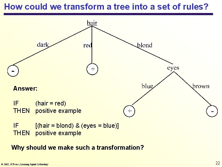 How could we transform a tree into a set of rules? Answer: IF (hair