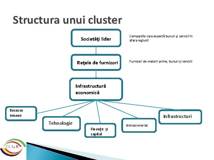 Structura unui cluster Societăţi lider Reţele de furnizori Companiile care exportă bunuri şi servicii