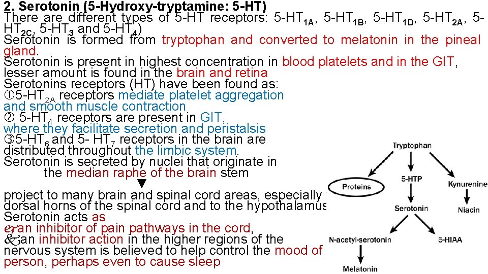 2. Serotonin (5 -Hydroxy-tryptamine: 5 -HT) There are different types of 5 -HT receptors: