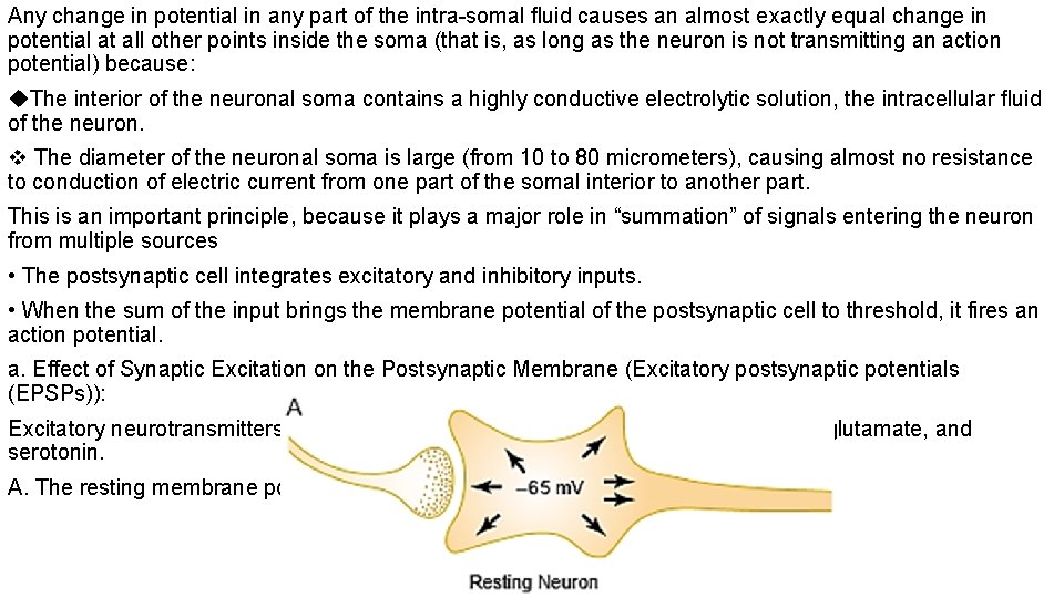 Any change in potential in any part of the intra-somal ﬂuid causes an almost