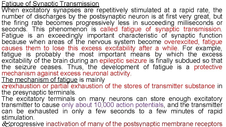 Fatigue of Synaptic Transmission When excitatory synapses are repetitively stimulated at a rapid rate,