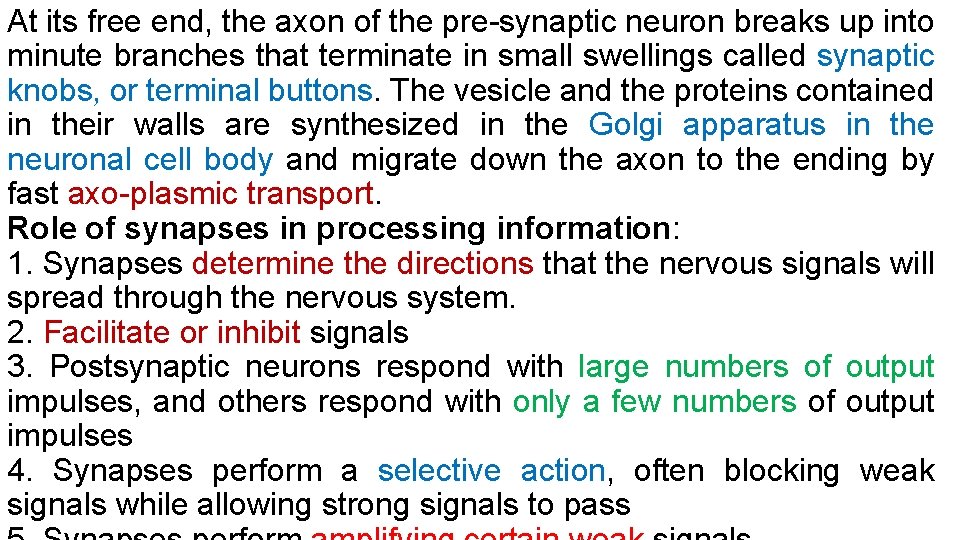 At its free end, the axon of the pre-synaptic neuron breaks up into minute