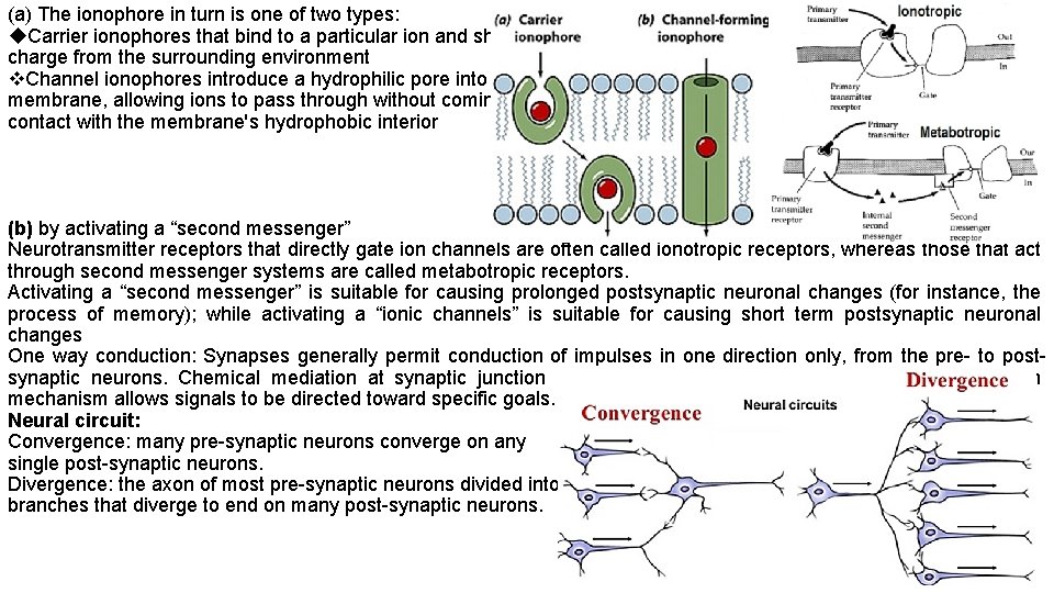 (a) The ionophore in turn is one of two types: Carrier ionophores that bind