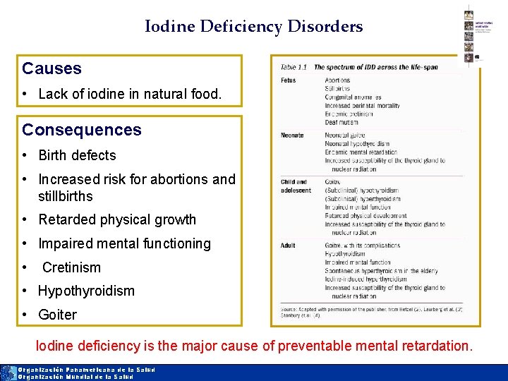 Iodine Deficiency Disorders Causes • Lack of iodine in natural food. Consequences • Birth