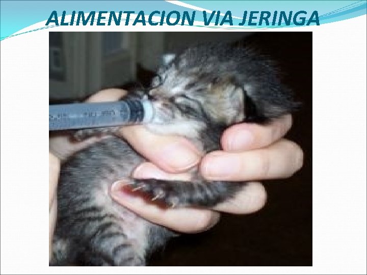 ALIMENTACION VIA JERINGA 
