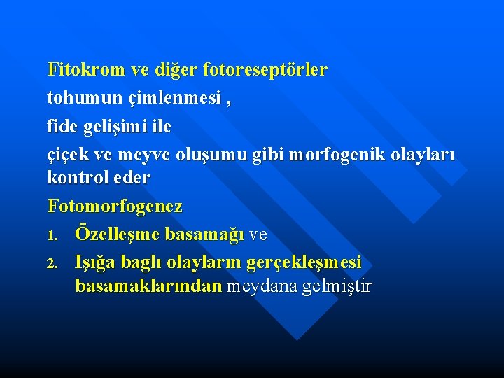 Fitokrom ve diğer fotoreseptörler tohumun çimlenmesi , fide gelişimi ile çiçek ve meyve oluşumu