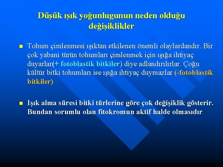 Düşük ışık yoğunlugunun neden olduğu değişiklikler n Tohum çimlenmesi ışıktan etkilenen önemli olaylardandır. Bir