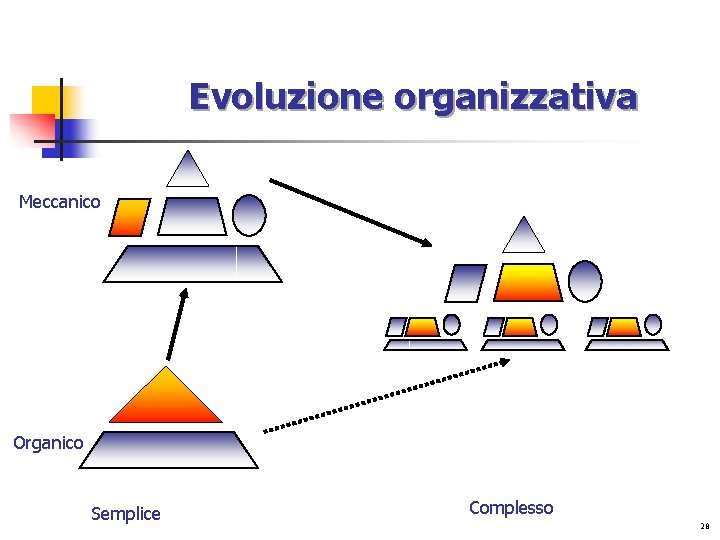 Evoluzione organizzativa Meccanico Organico Semplice Complesso 28 