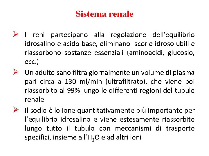 Sistema renale Ø I reni partecipano alla regolazione dell’equilibrio idrosalino e acido-base, eliminano scorie Sistema renale Ø I reni partecipano alla regolazione dell’equilibrio idrosalino e acido-base, eliminano scorie