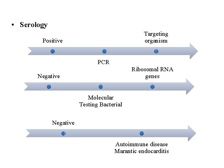  • Serology Targeting organism Positive PCR Ribosomal RNA genes Negative Molecular Testing Bacterial