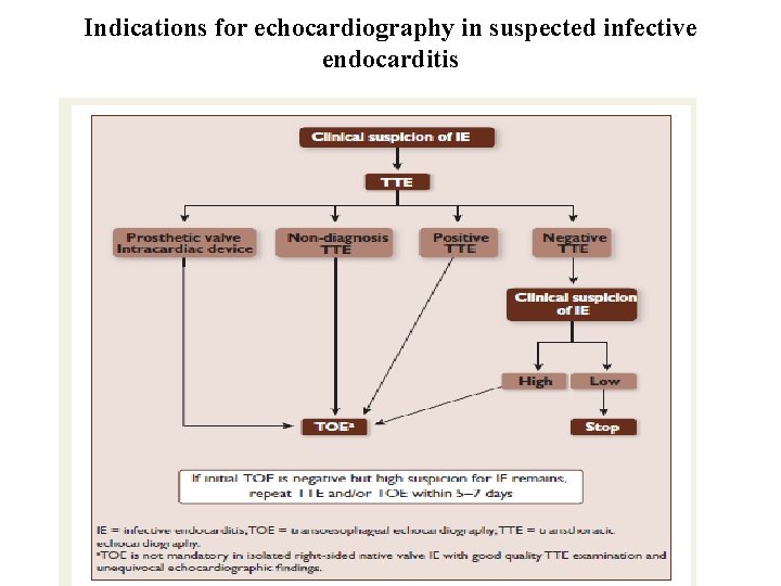 Indications for echocardiography in suspected infective endocarditis 