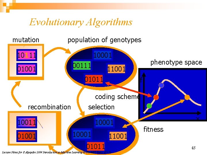 Evolutionary Algorithms mutation population of genotypes 10111 10001 01001 00111 phenotype space 11001 01011