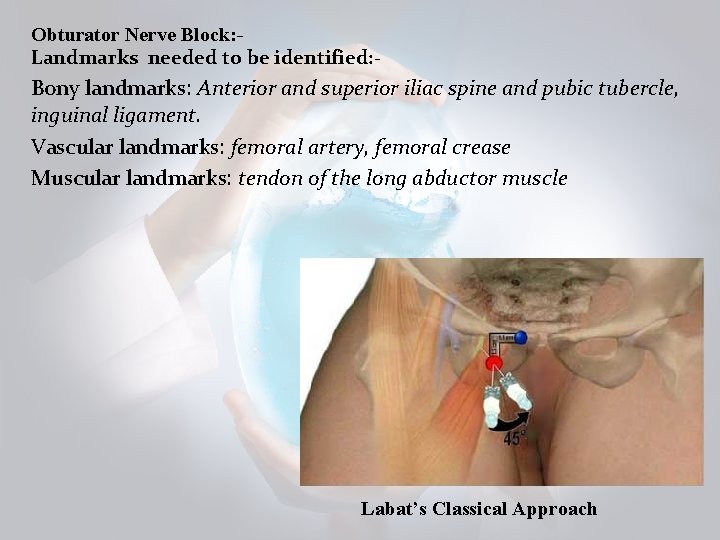 Obturator Nerve Block: Landmarks needed to be identified: - Bony landmarks: Anterior and superior