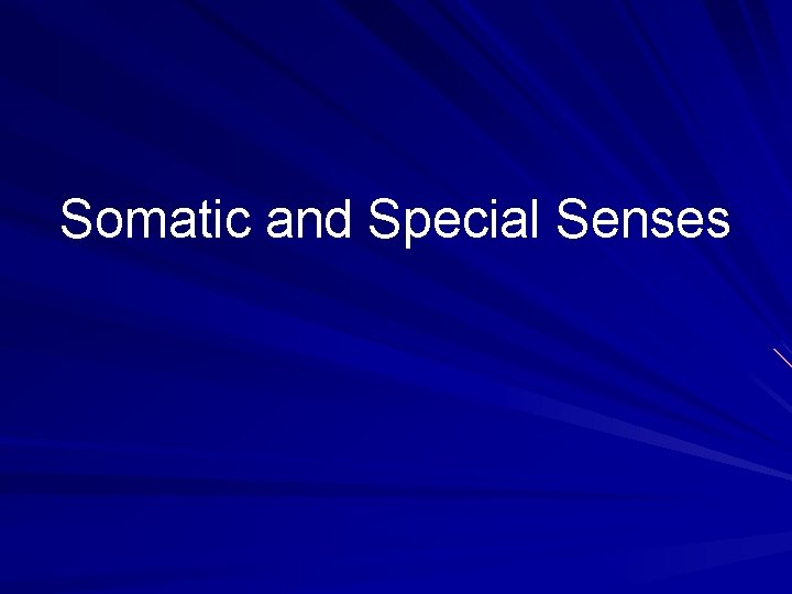 Somatic and Special Senses 
