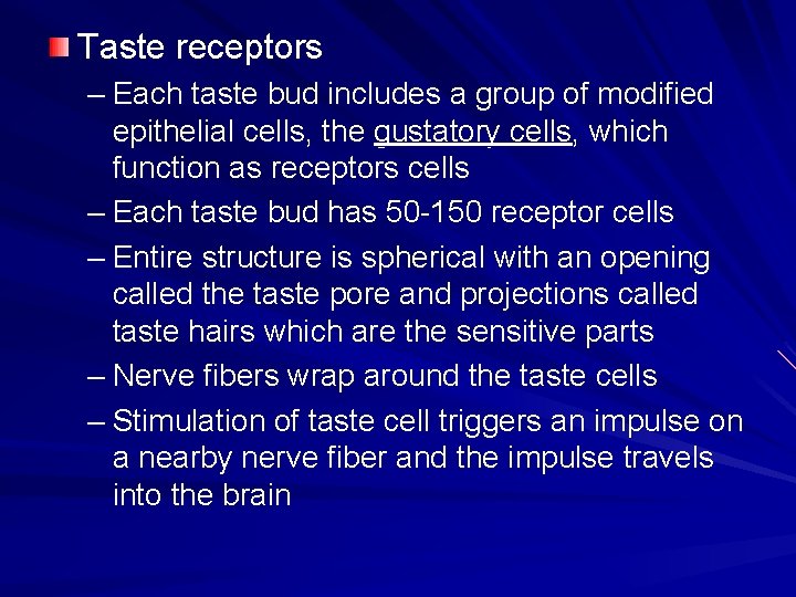 Taste receptors – Each taste bud includes a group of modified epithelial cells, the