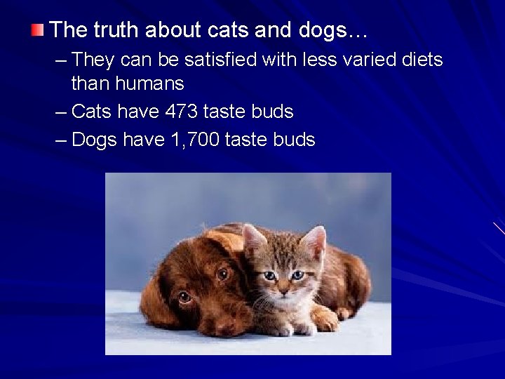 The truth about cats and dogs… – They can be satisfied with less varied