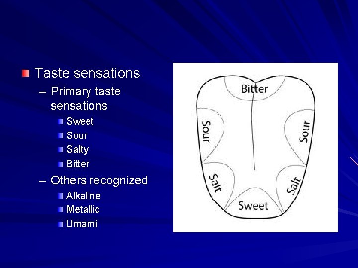 Taste sensations – Primary taste sensations Sweet Sour Salty Bitter – Others recognized Alkaline