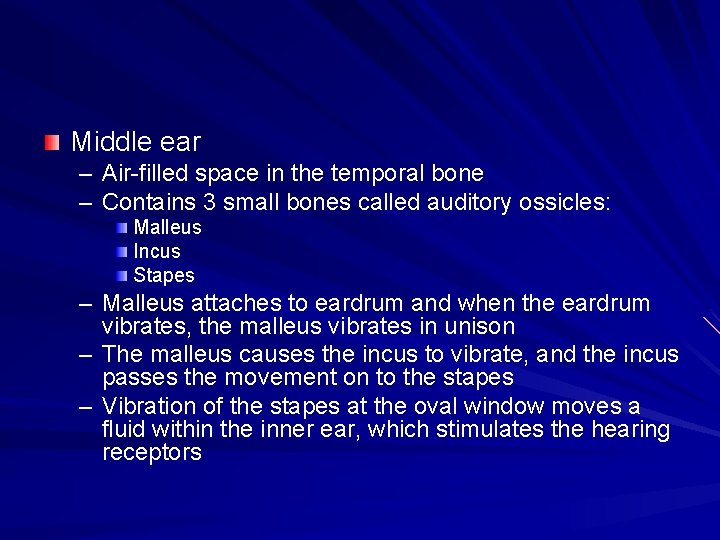 Middle ear – Air-filled space in the temporal bone – Contains 3 small bones