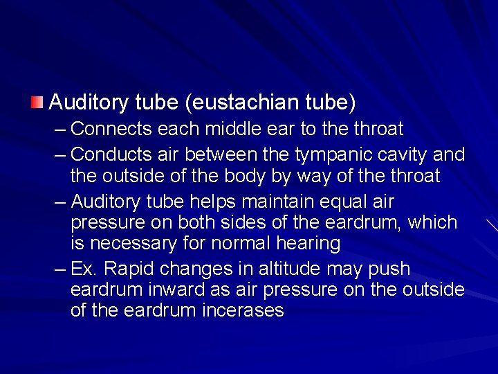 Auditory tube (eustachian tube) – Connects each middle ear to the throat – Conducts