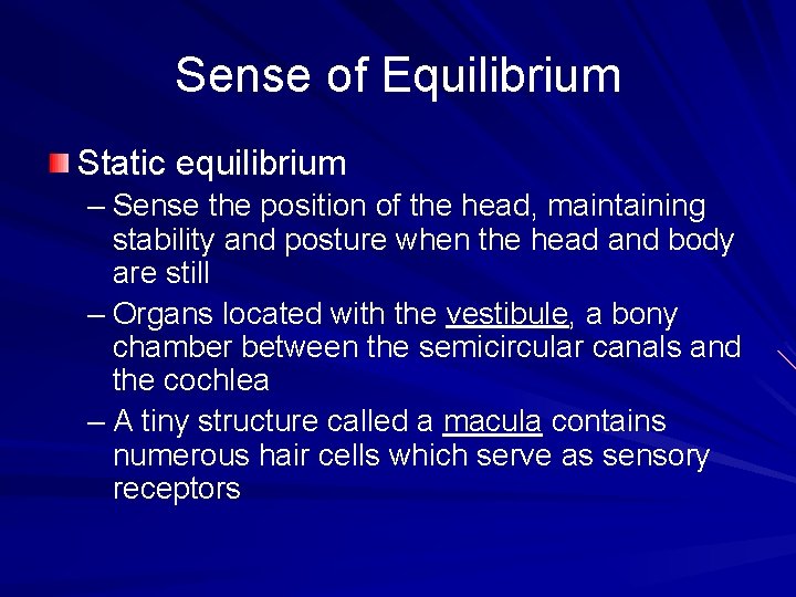 Sense of Equilibrium Static equilibrium – Sense the position of the head, maintaining stability