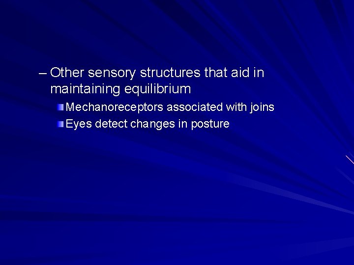 – Other sensory structures that aid in maintaining equilibrium Mechanoreceptors associated with joins Eyes