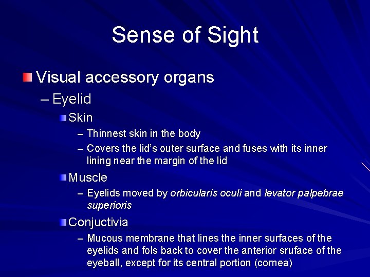 Sense of Sight Visual accessory organs – Eyelid Skin – Thinnest skin in the