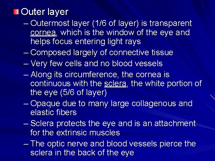 Outer layer – Outermost layer (1/6 of layer) is transparent cornea, which is the