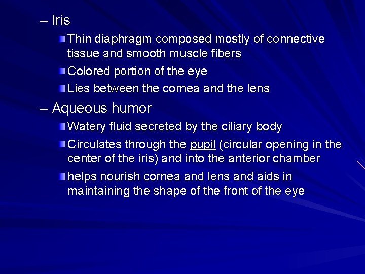 – Iris Thin diaphragm composed mostly of connective tissue and smooth muscle fibers Colored