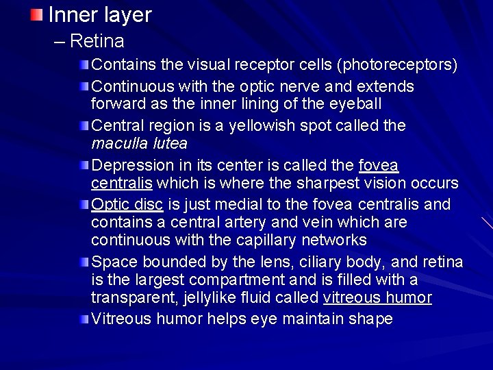 Inner layer – Retina Contains the visual receptor cells (photoreceptors) Continuous with the optic