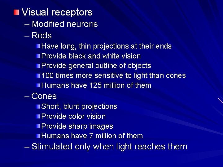 Visual receptors – Modified neurons – Rods Have long, thin projections at their ends