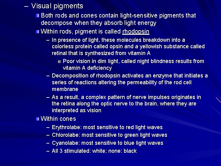– Visual pigments Both rods and cones contain light-sensitive pigments that decompose when they