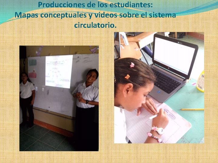 Producciones de los estudiantes: Mapas conceptuales y videos sobre el sistema circulatorio. 