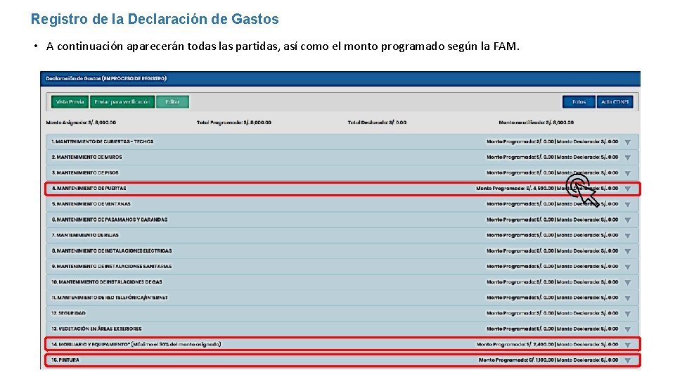 Registro de la Declaración de Gastos • A continuación aparecerán todas las partidas, así