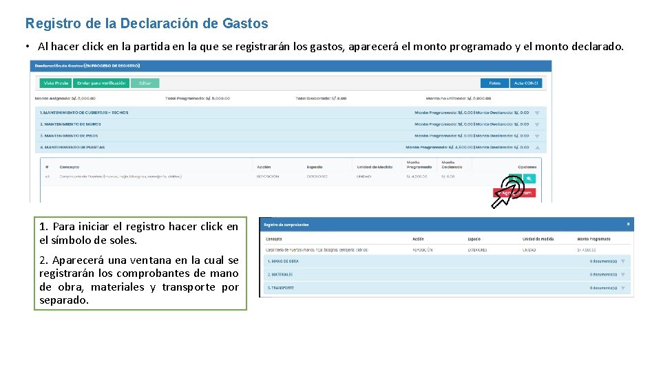 Registro de la Declaración de Gastos • Al hacer click en la partida en