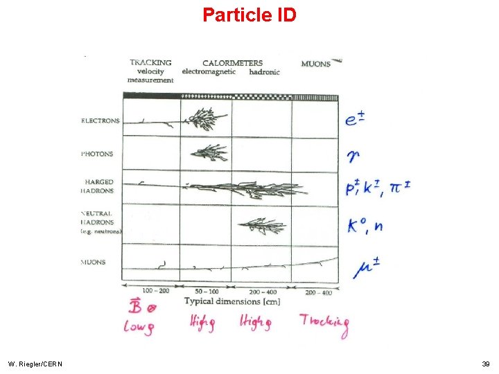 Particle ID W. Riegler/CERN 39 Particle ID W. Riegler/CERN 39