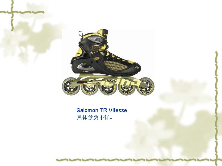 Salomon TR Vitesse 具体参数不详。 